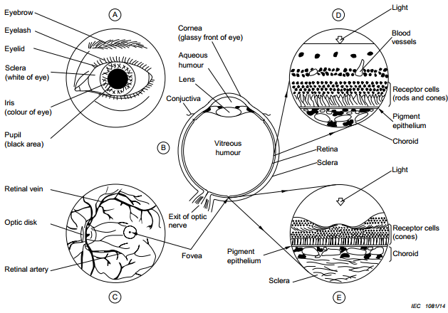 激光投影安全吗?有评价标准吗?