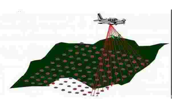 无人机在林业管理中的应用及解决方案_行业资